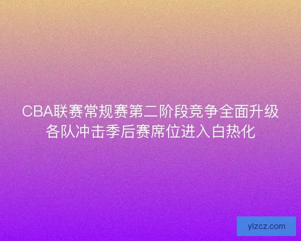 CBA联赛常规赛第二阶段竞争全面升级各队冲击季后赛席位进入白热化